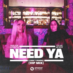 Need Ya (I Don't Wanna) [VIP Mix]