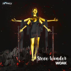 Steve Wonder - Extended Mix