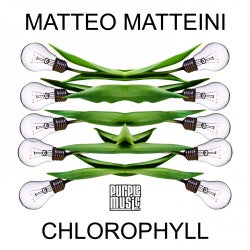 Matteo Matteini Top 10 December 2014