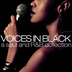 Voices in Black (A Soul and R&B Collection)