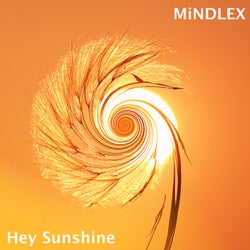Hey Sunshine (Remix)