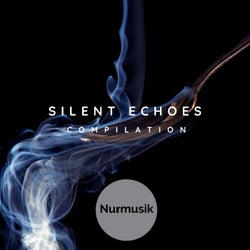 Silent Echoes