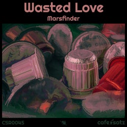 Wasted Love