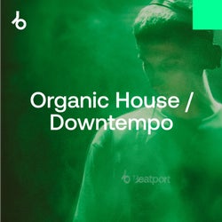 2025's Best tracks (so far): Organic House