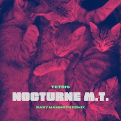 Nocturne M.T. (Baby Mammoth Remix)