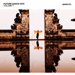 Future Dance Hits, Vol. 7