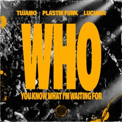 WHO (You Know What Im Waiting For) (Extended Mix)