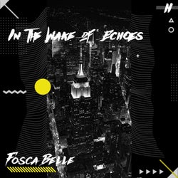 In the Wake of Echoes