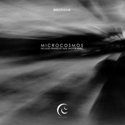 Microcosmos (The Remixes)