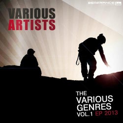 The Various Genres Vol.1 Ep 2013