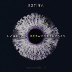Morpho / Metamorphoses