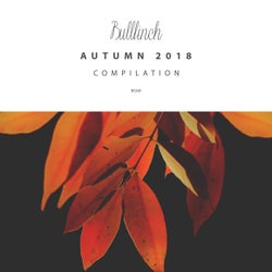 Bullfinch Autumn 2018 Compilation