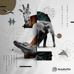 2 Years of Namata