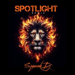 Spotlight (Remix)