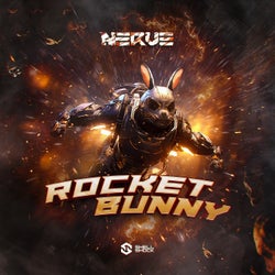 Rocket Bunny