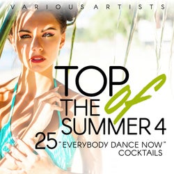 Top of the Summer (25 Everybody Dance Now Cocktails), Vol. 4