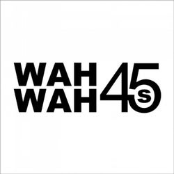 Wah Wah 45s Singles Collection 2005
