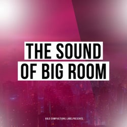 The Sound Of Big Room