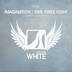 FloE Imagination Chart