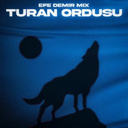 TURAN ORDUSU