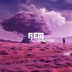 REM