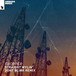 Straight Wylin' - DONT BLINK Remix