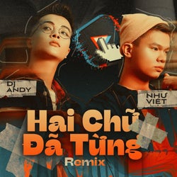 Hai Chữ Đã Từng (Andy Remix)