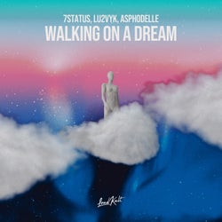 Walking On A Dream