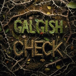 Check