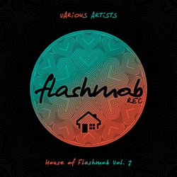 House of Flashmob, Vol. 7