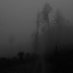 Output #002