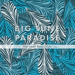 Big Tune Paradise - The Hard Selection, Vol. 1