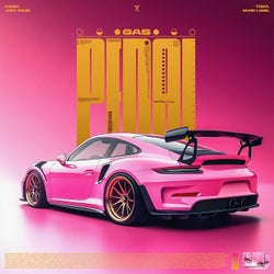 Gas Pedal