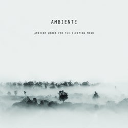 Ambient Works for the Sleeping Mind