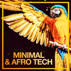 Minimal & Afro Tech