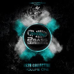 DS2B Collective Volume 1