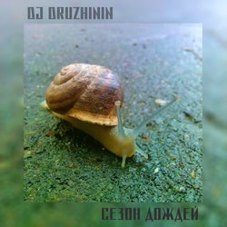 Сезон Дождей