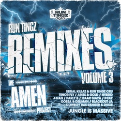 Run Tingz Remixes, Vol. 3 - The Amen Project