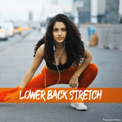 Lower Back Stretch