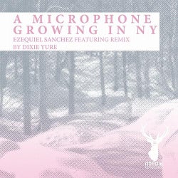 A Microphone Growing in NY
