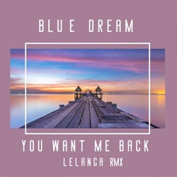 You Want Me Back (feat. The Rurals) [Lelanga Remix]