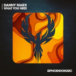 What You Need (Extended Mix)