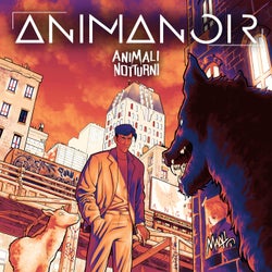 Animali Notturni