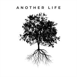 Another Life