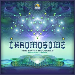 The Spirit Molecule (Audiodact Remix)