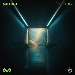 Rotor