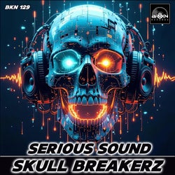 Serious Sound (Original Mix)