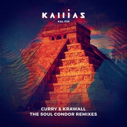 The Soul Condor (Remixes)