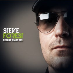 Steve Forest ReBoot Chart 003