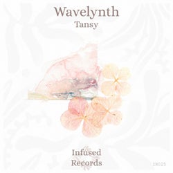 Tansy